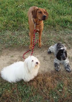 RR-Koker-Coton.JPG