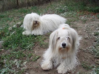 coton-coton.jpg