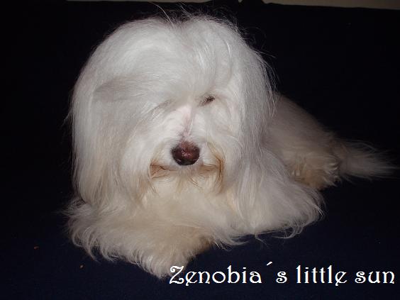 hlávka.jpg