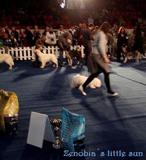 MVP EAST CUP3.jpg