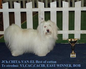 EAST CUP2011.JPG