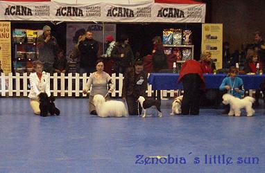 EAST CUP 2011.jpg