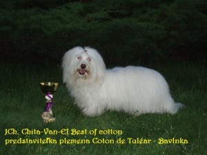 Obrázok