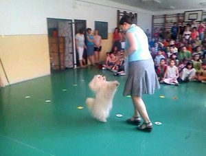 Obrázok