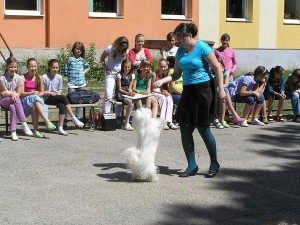Obrázok