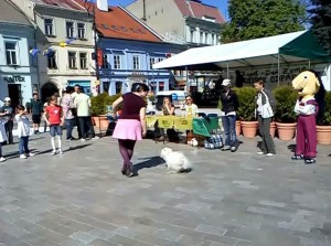 Obrázok