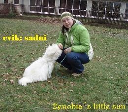 Obrázok