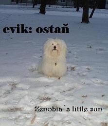 Obrázok