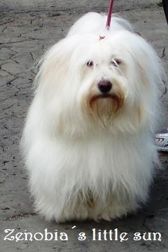 Obrázok