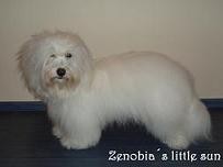 Obrázok